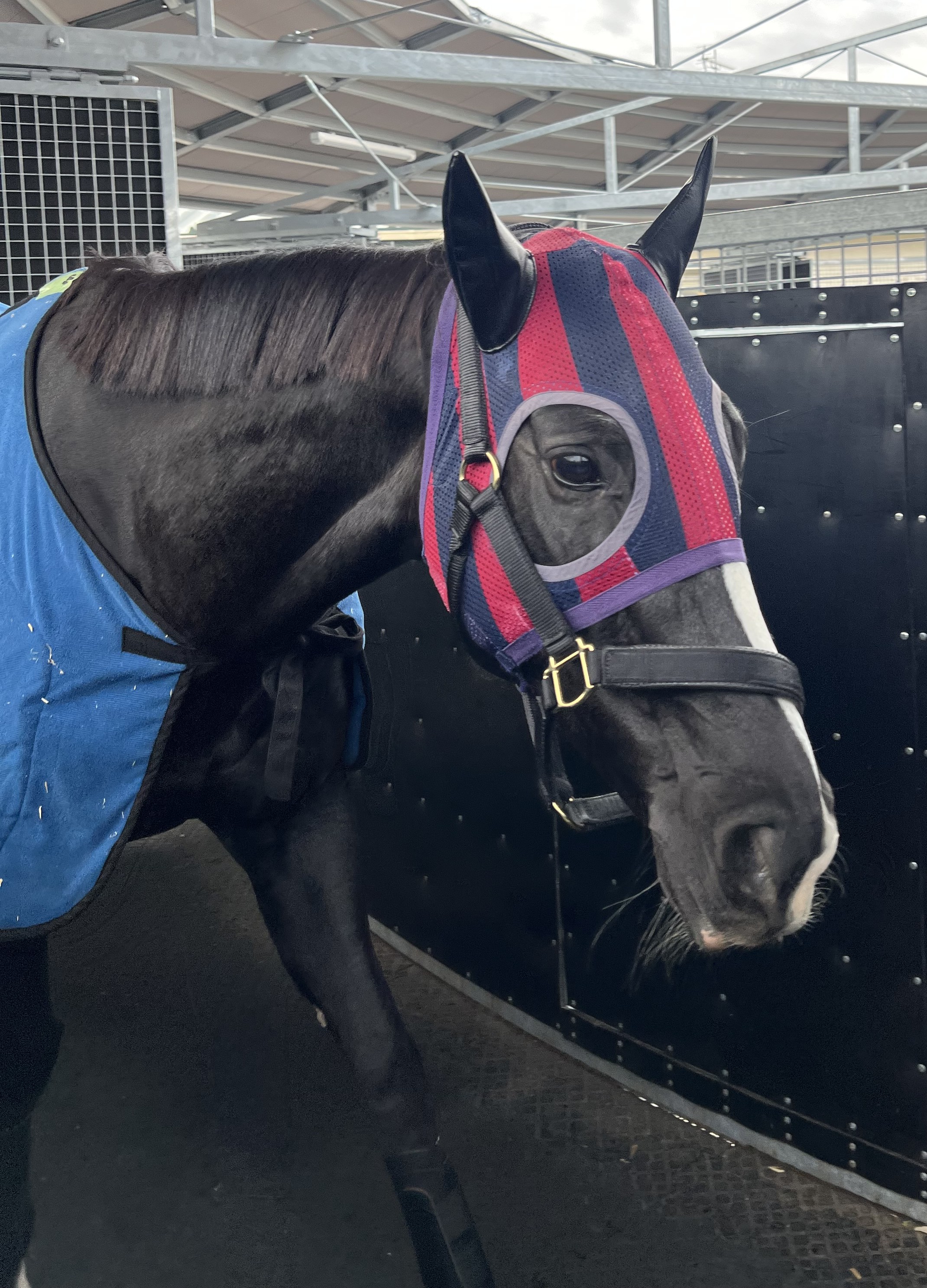 画像サムネイル