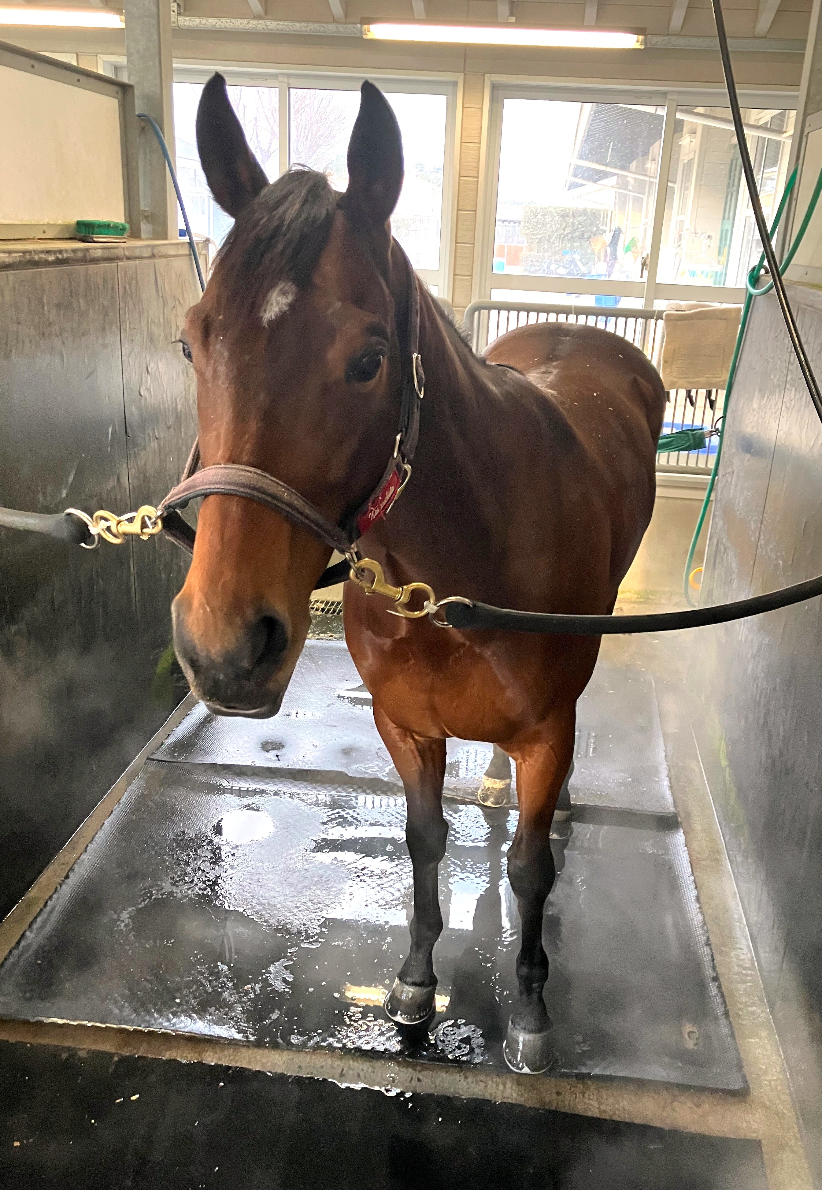 画像サムネイル