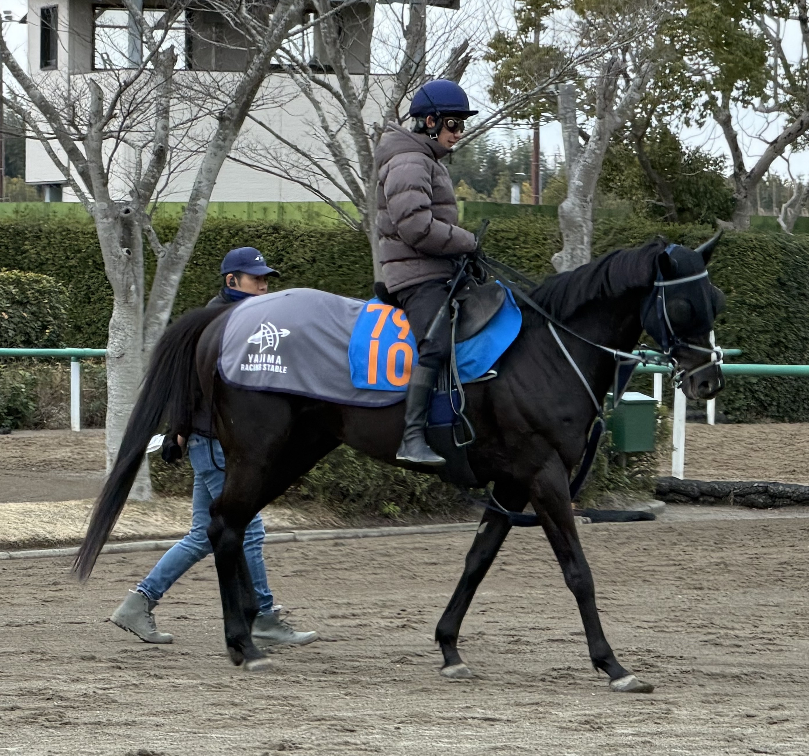 画像サムネイル