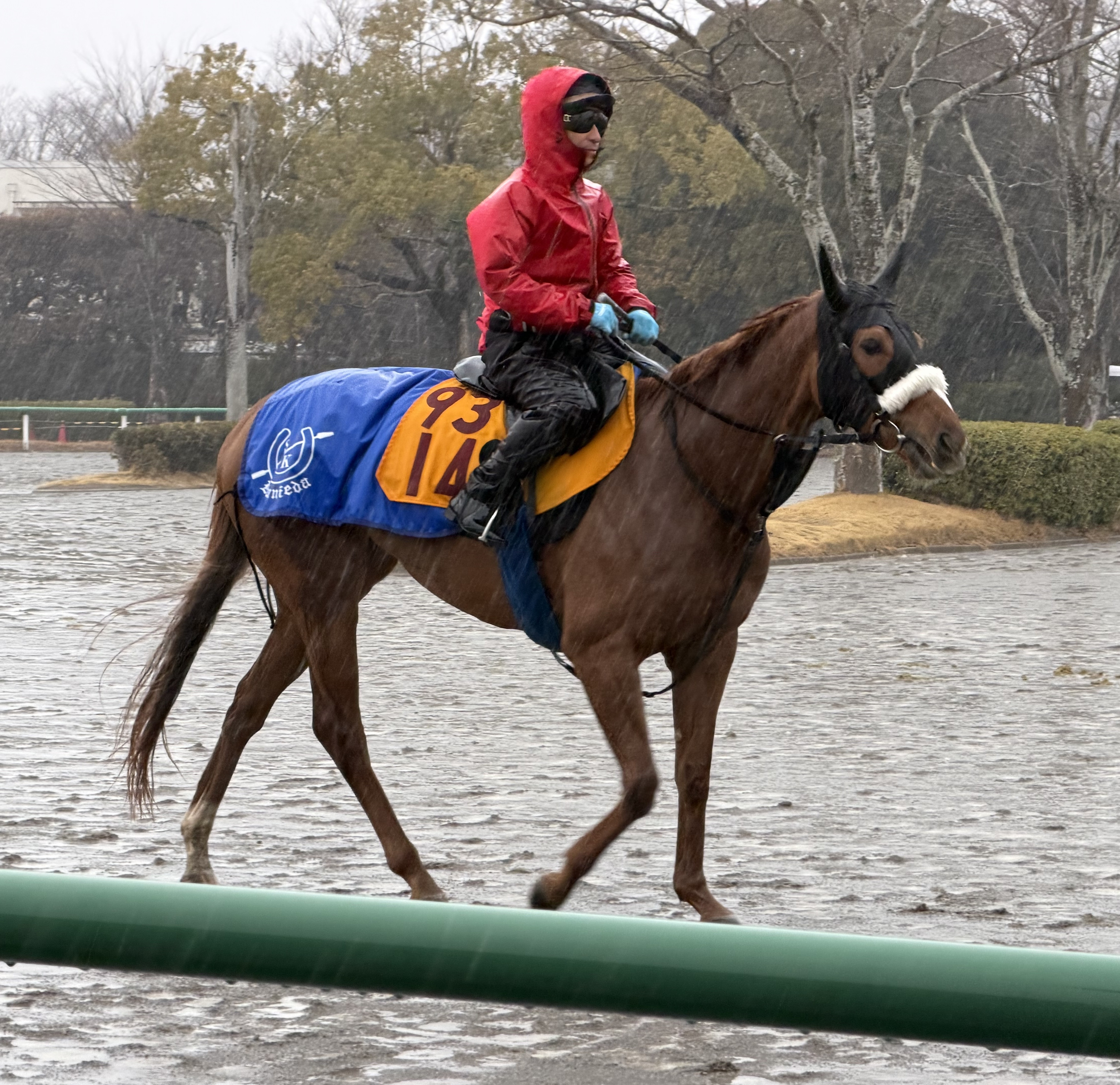 画像サムネイル