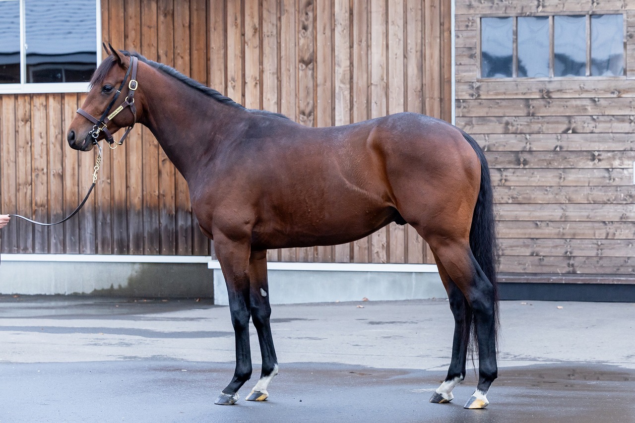 画像サムネイル