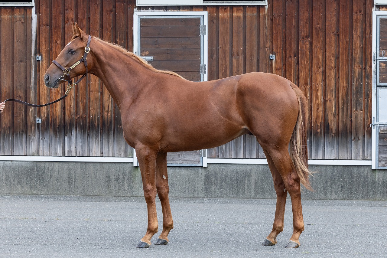 画像サムネイル