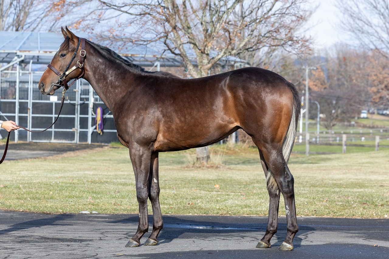 画像サムネイル