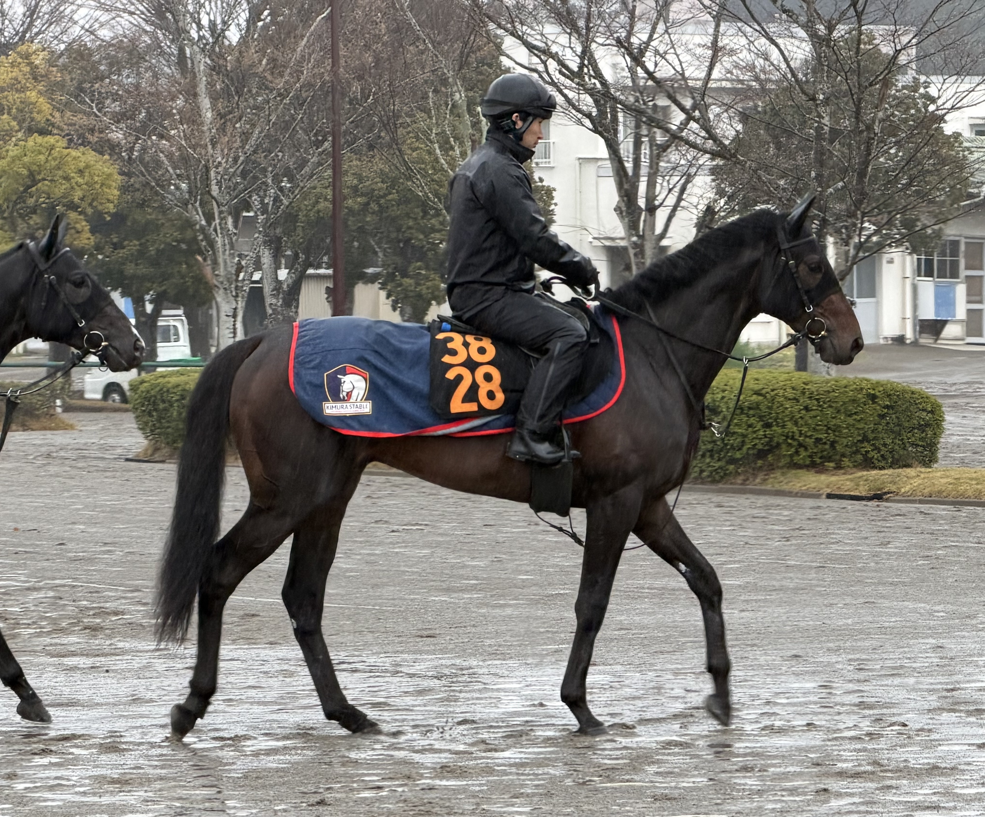 画像サムネイル