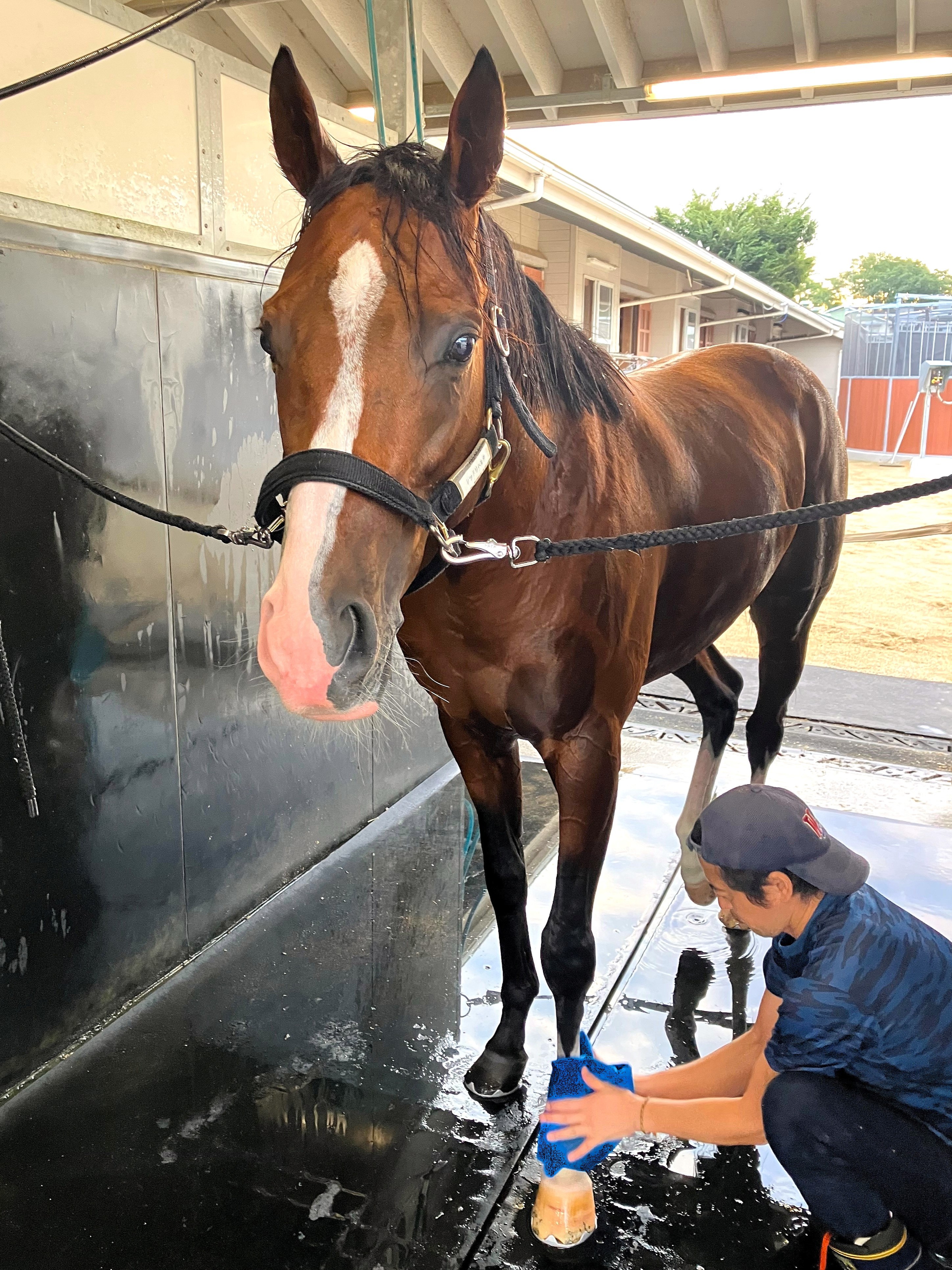 画像サムネイル