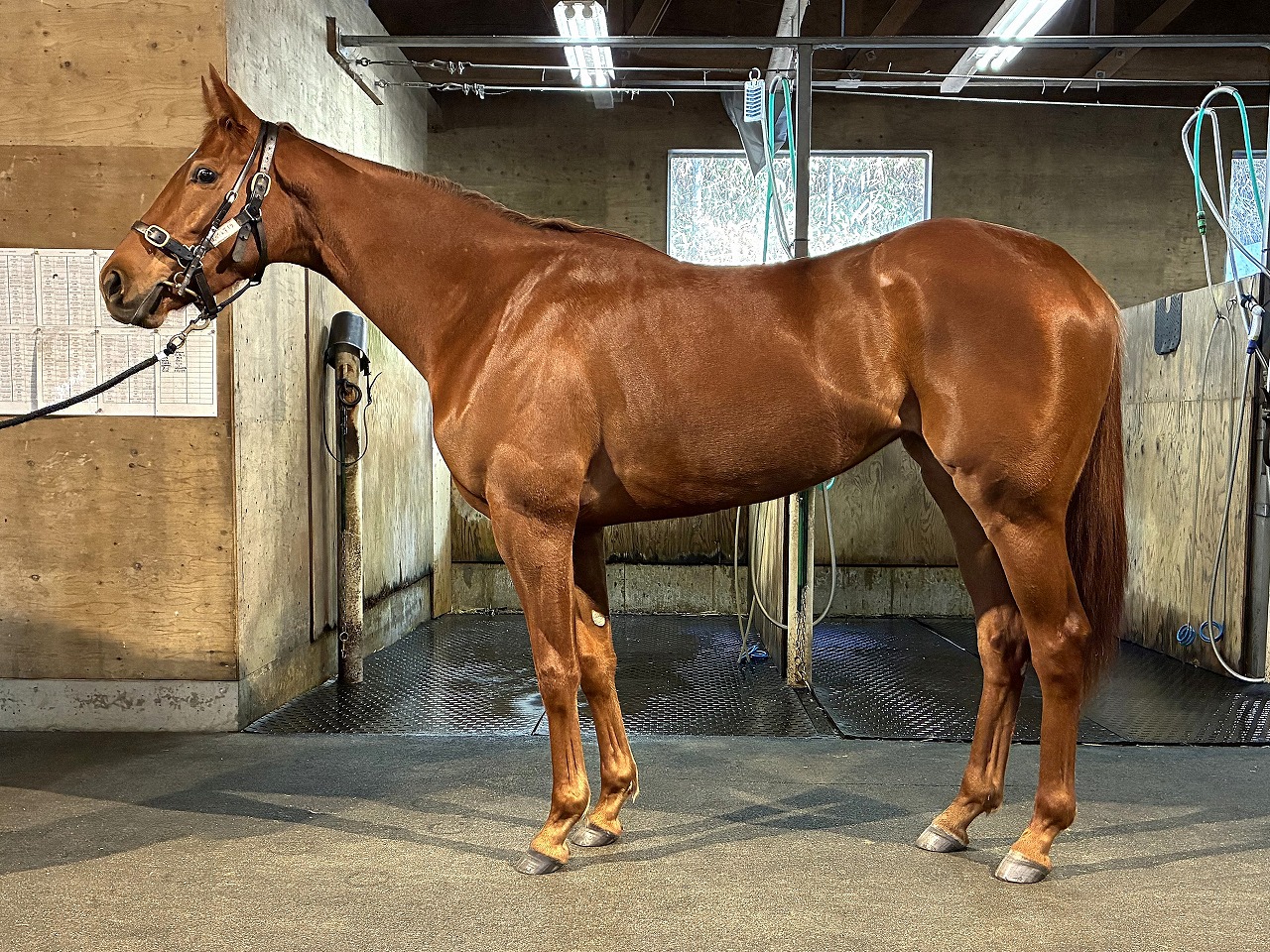 画像サムネイル