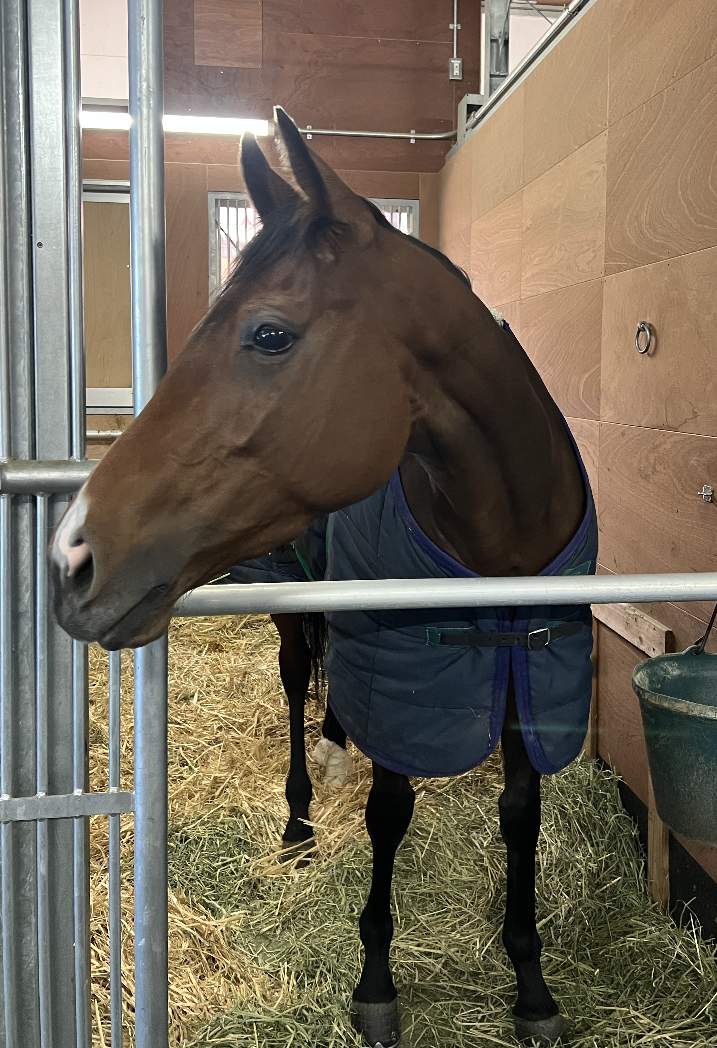 画像サムネイル