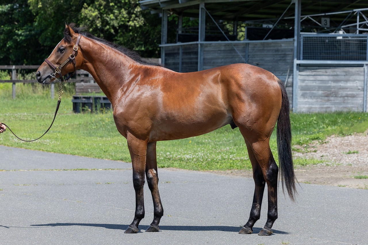 画像サムネイル