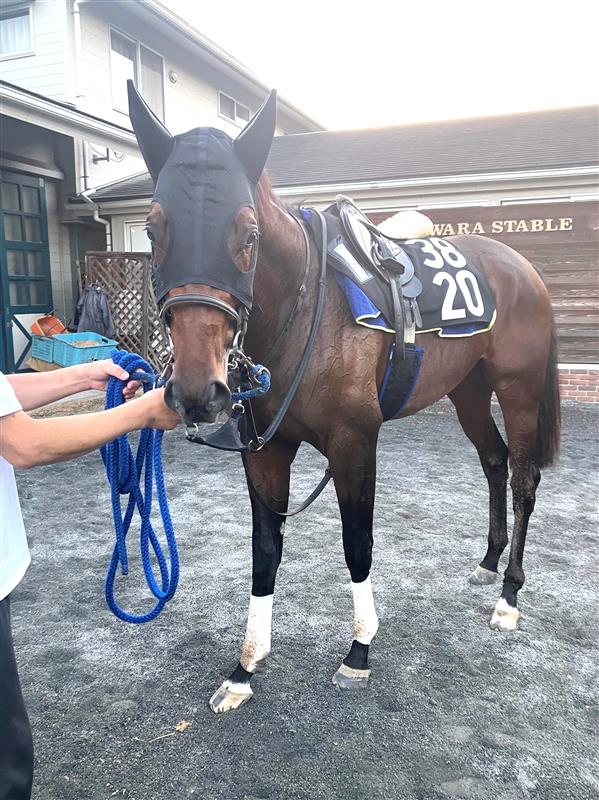 画像サムネイル