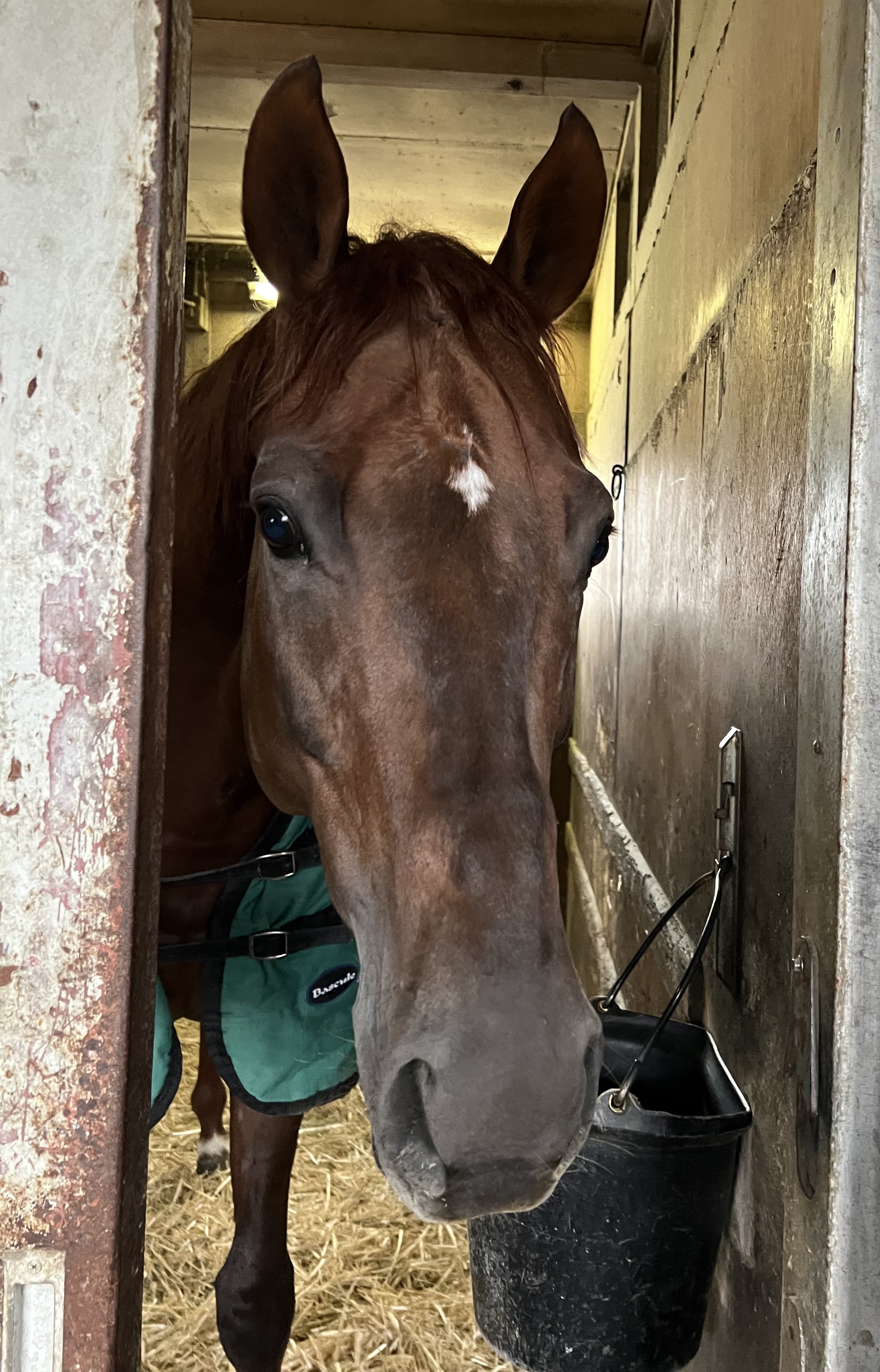 画像サムネイル