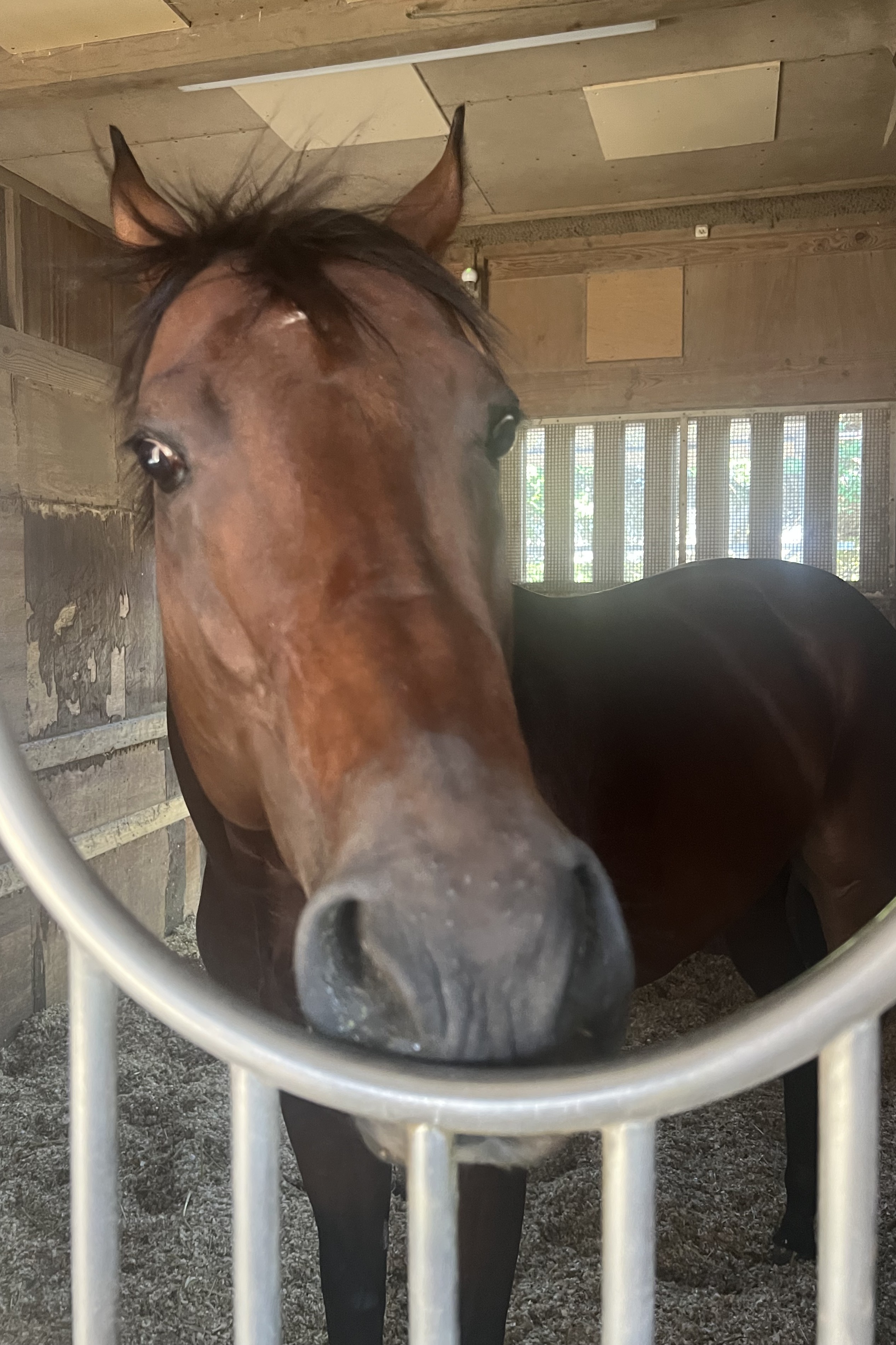 画像サムネイル