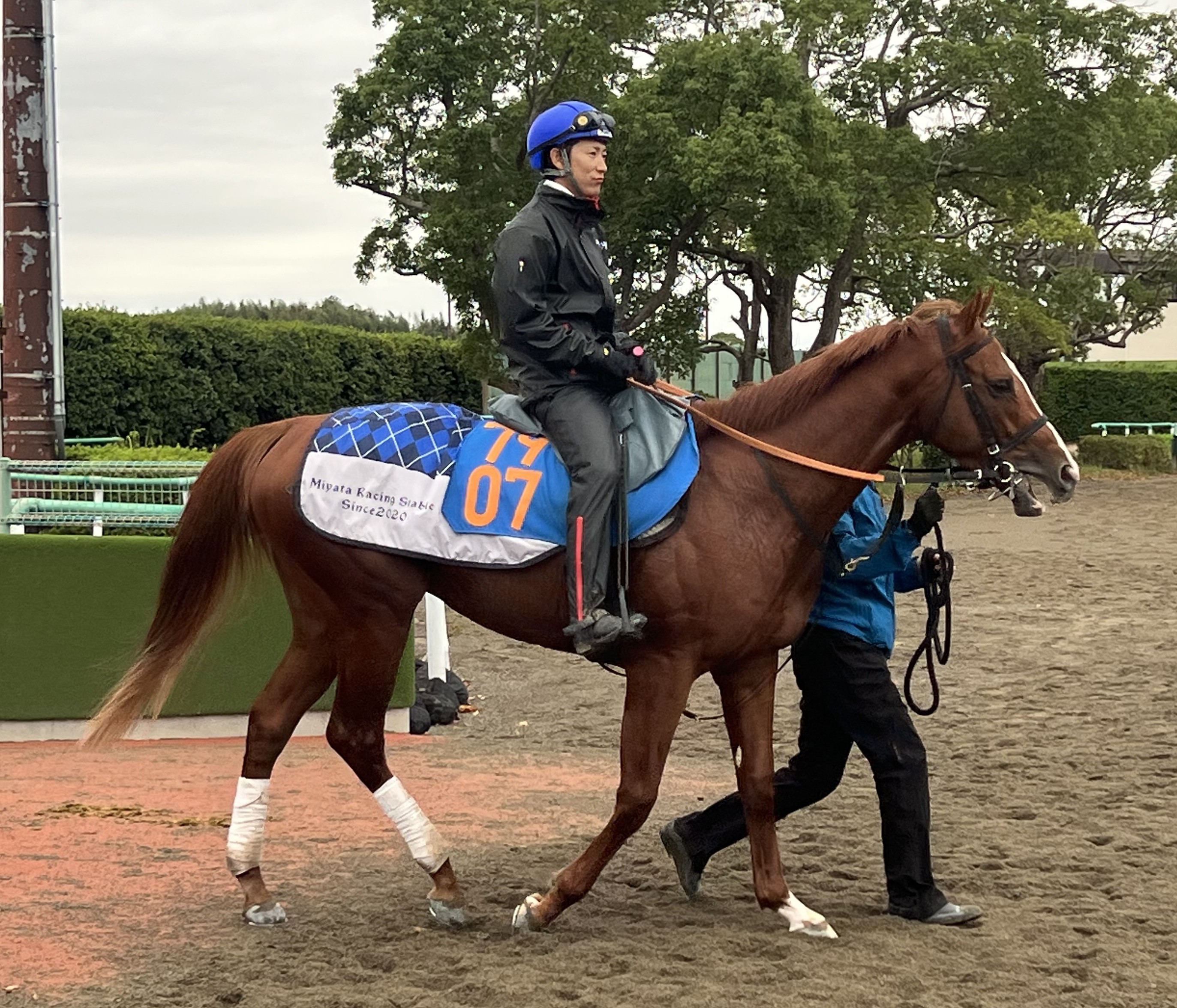 画像サムネイル