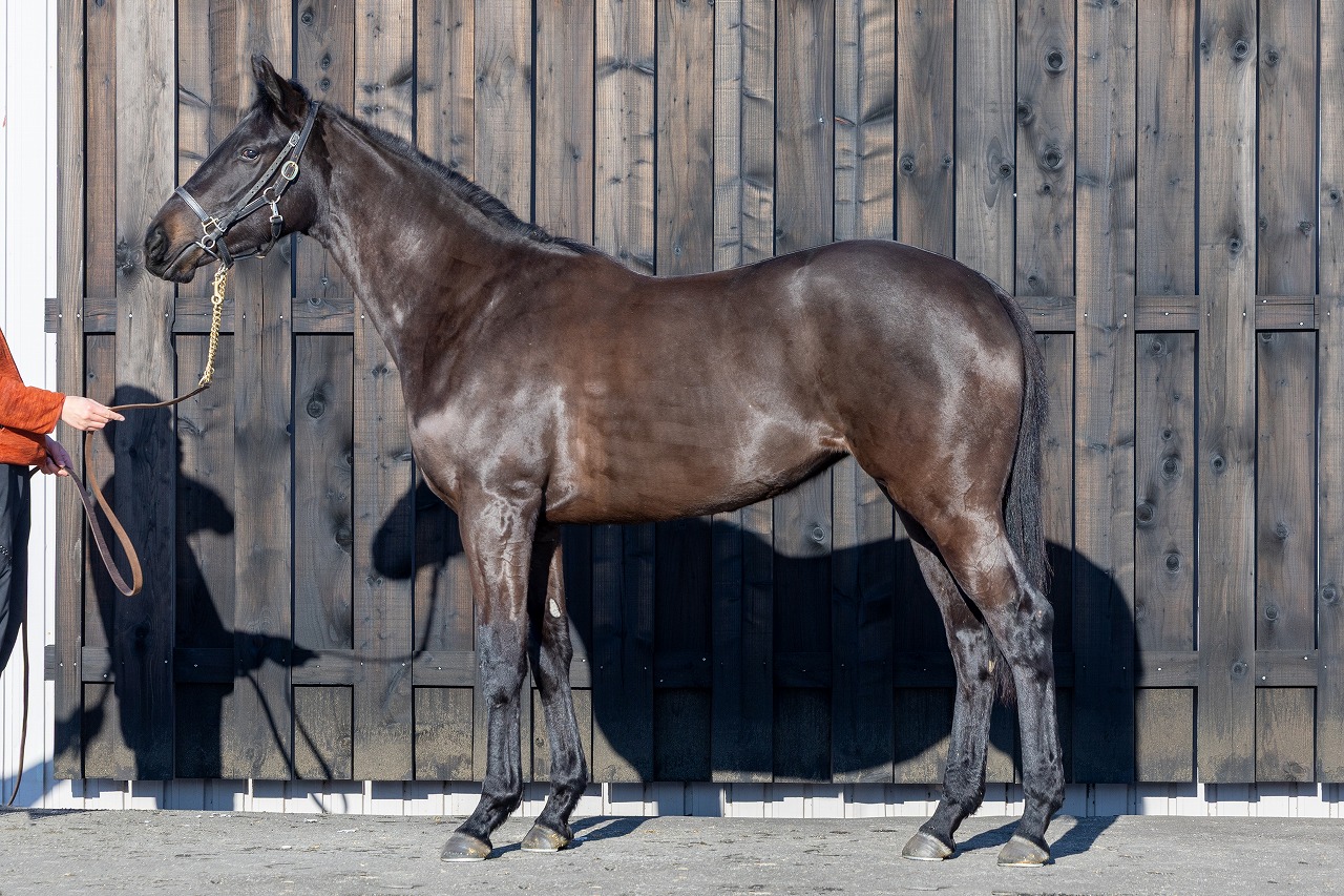 画像サムネイル