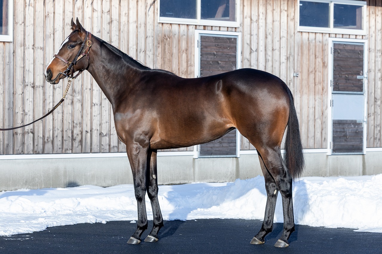 画像サムネイル