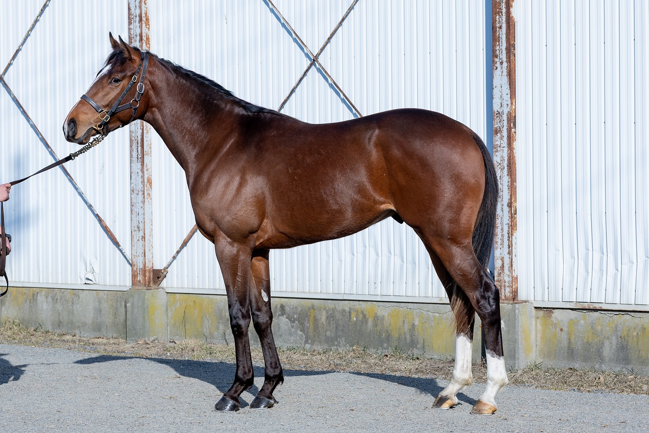 画像サムネイル