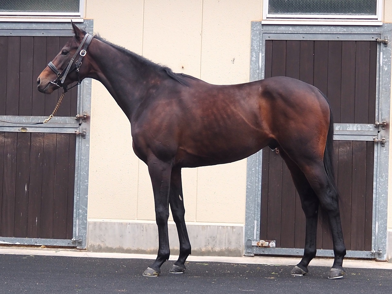 画像サムネイル