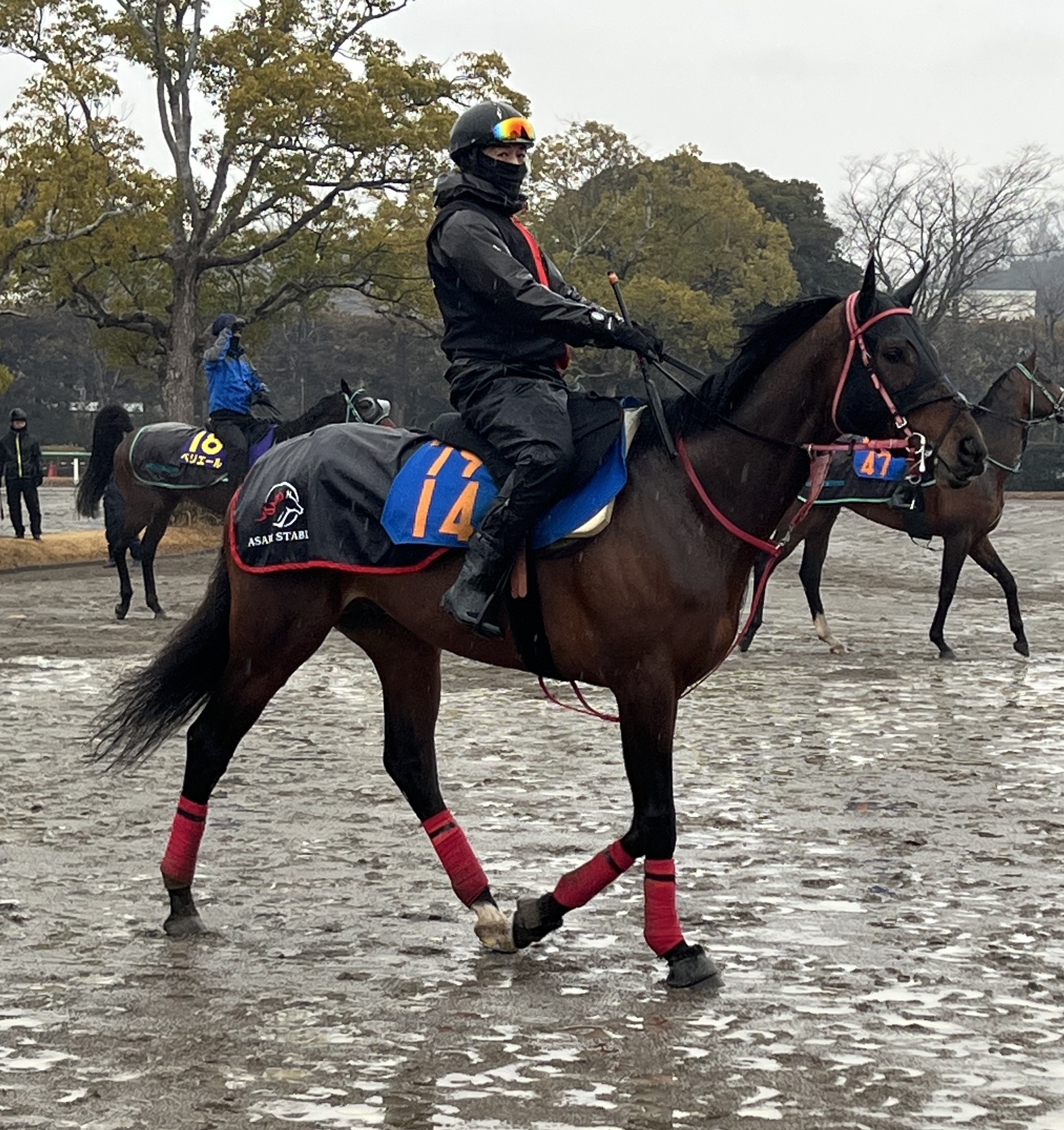 画像サムネイル