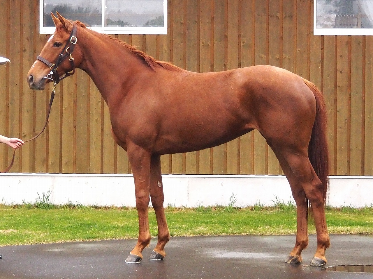 画像サムネイル