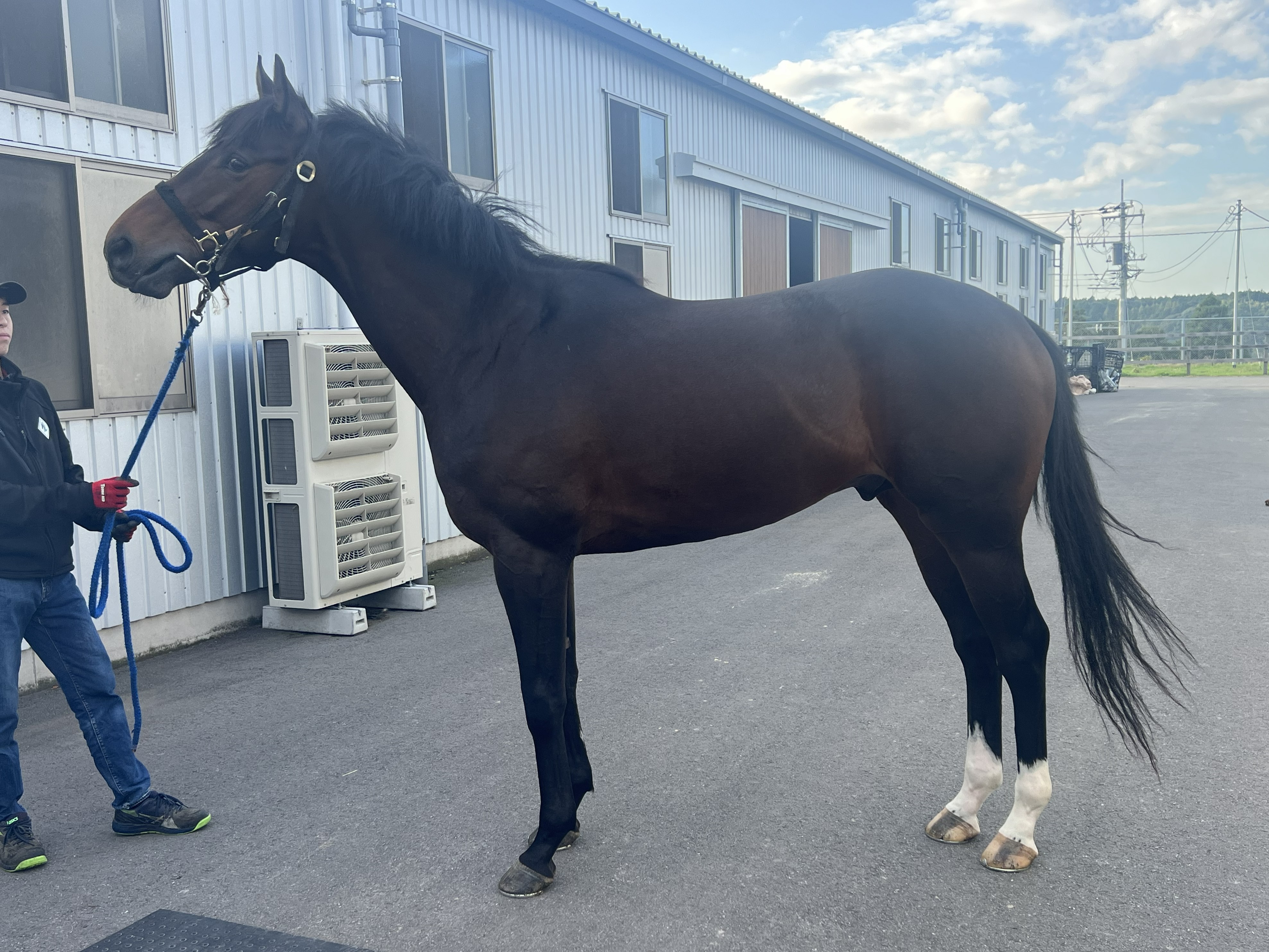 画像サムネイル