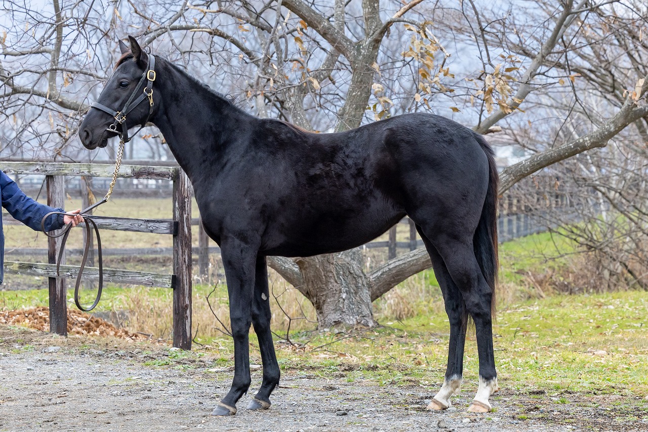 画像サムネイル