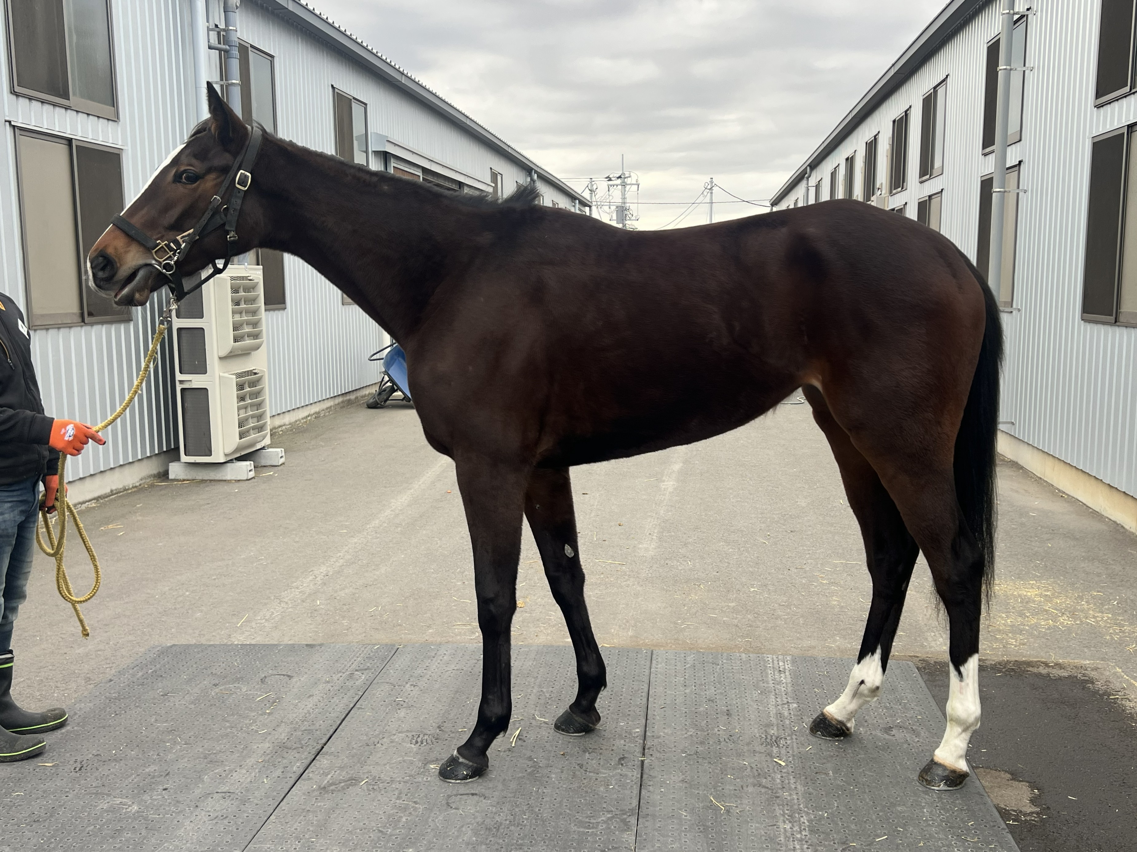 画像サムネイル