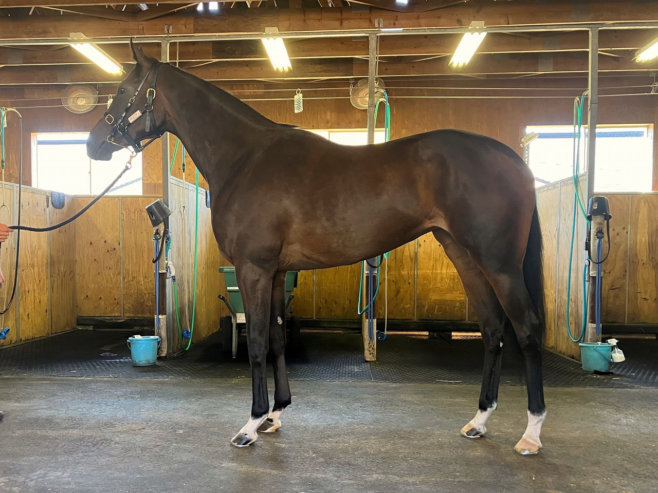 画像サムネイル