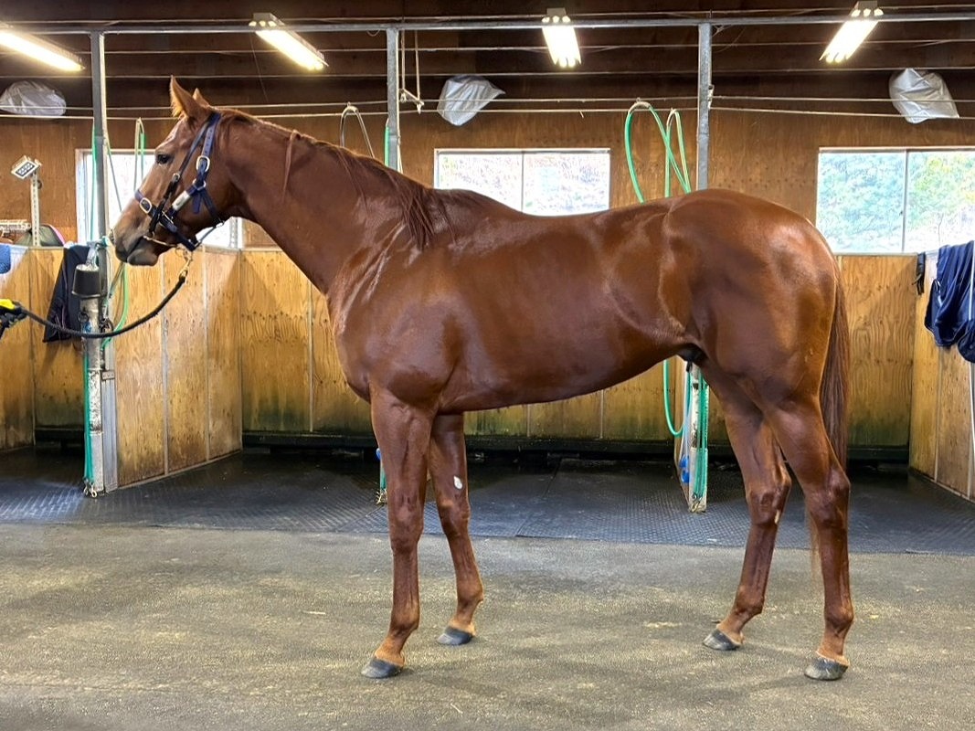 画像サムネイル