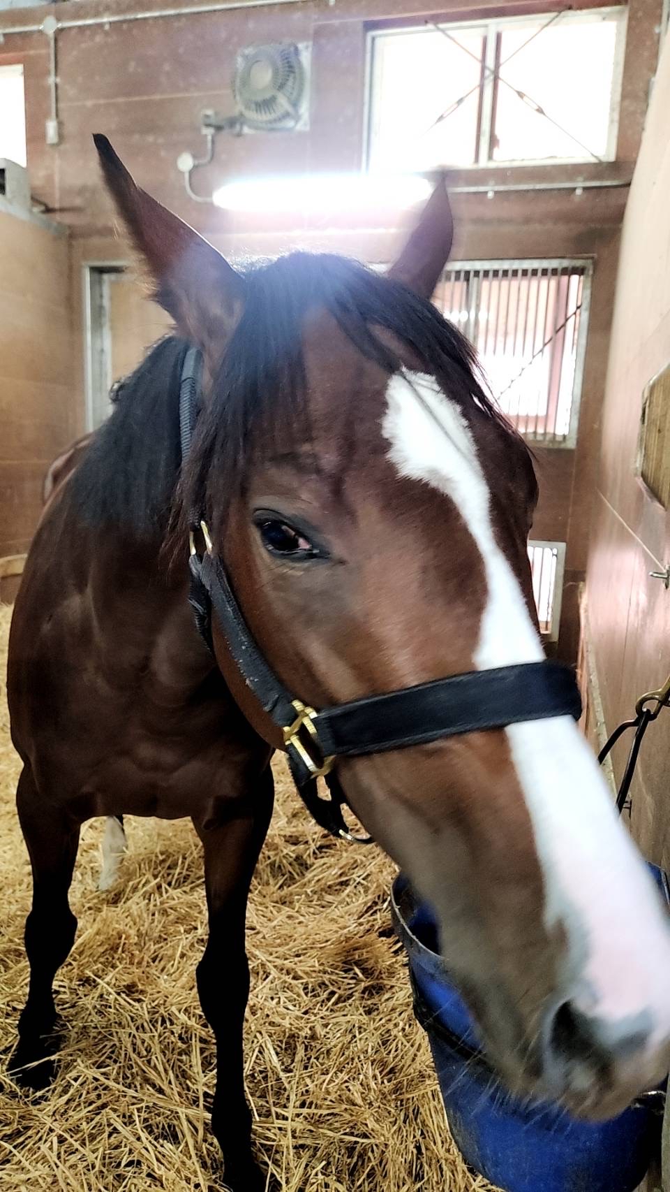 画像サムネイル