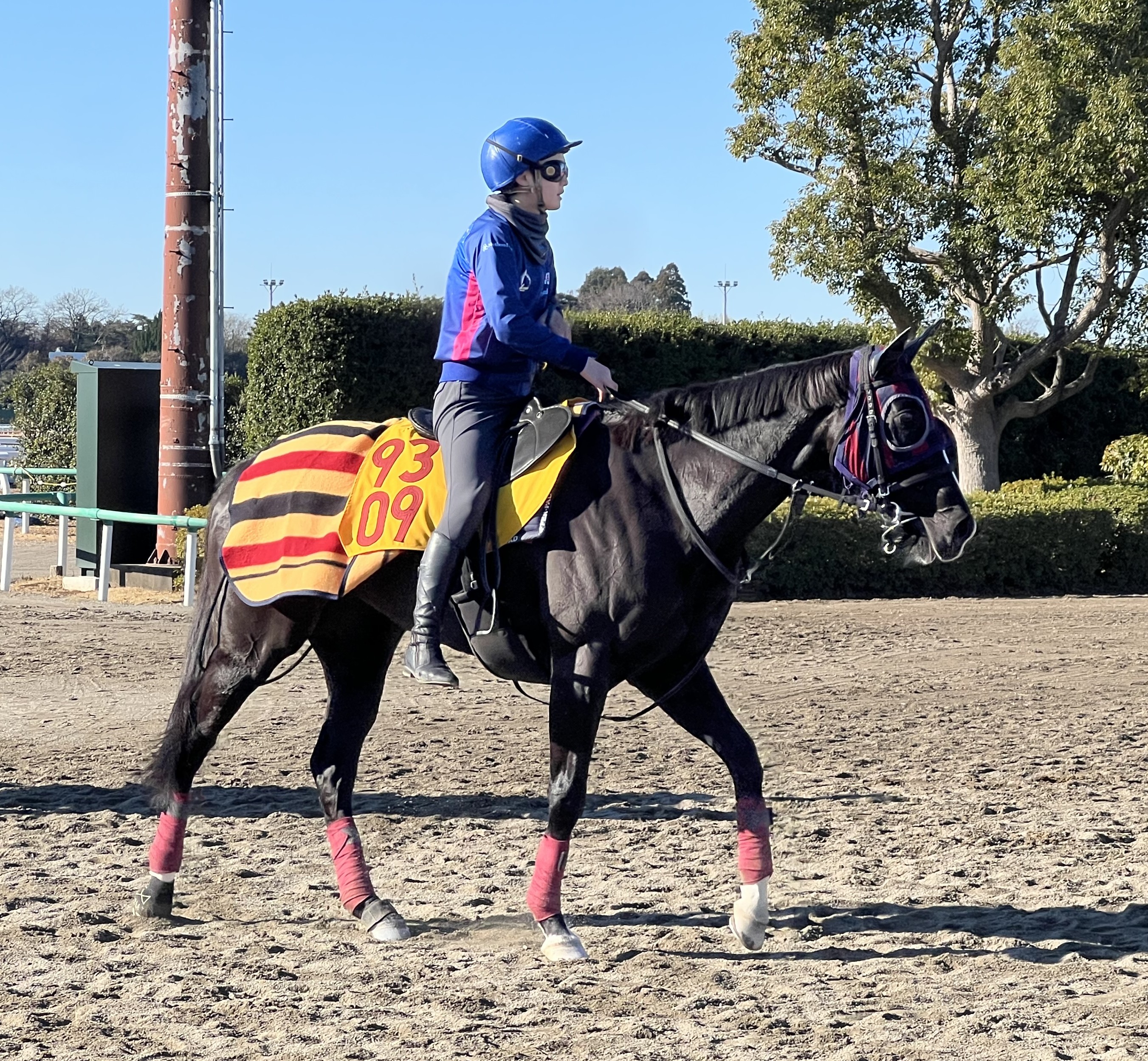 画像サムネイル