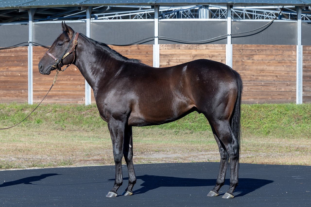 画像サムネイル