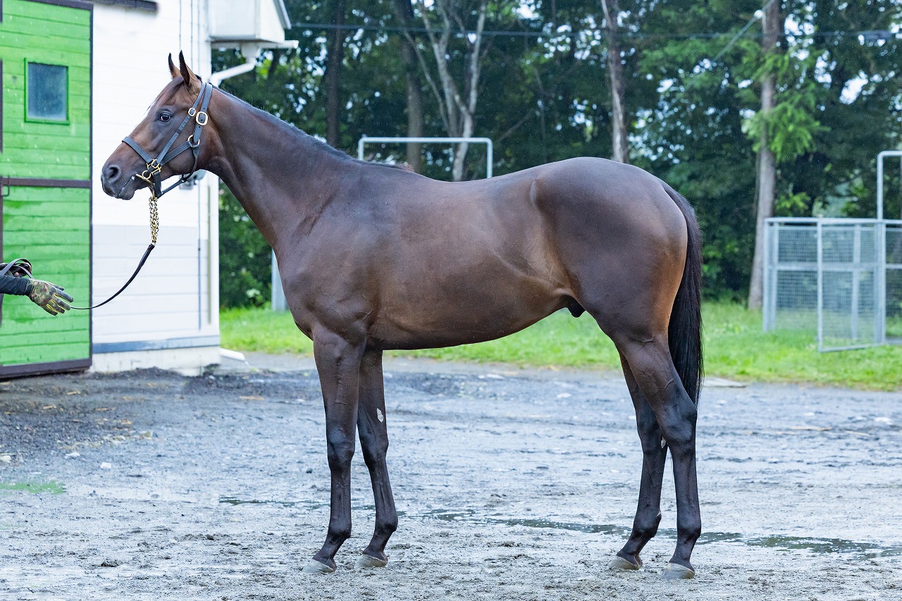 画像サムネイル