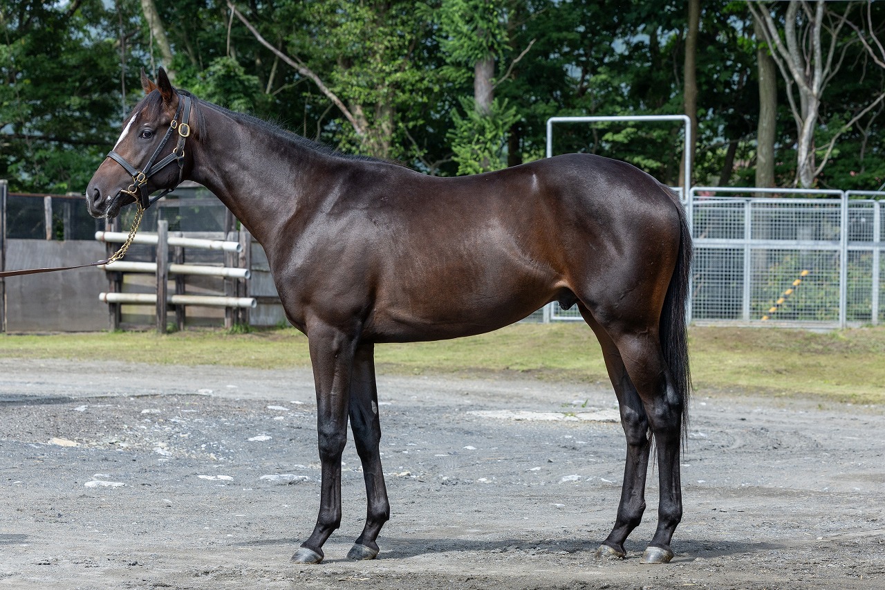 画像サムネイル