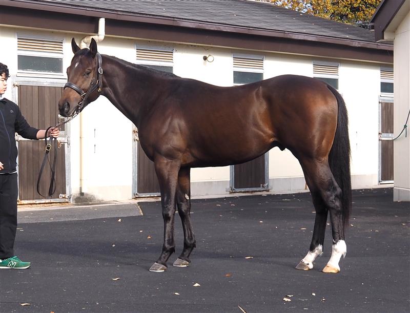 画像サムネイル