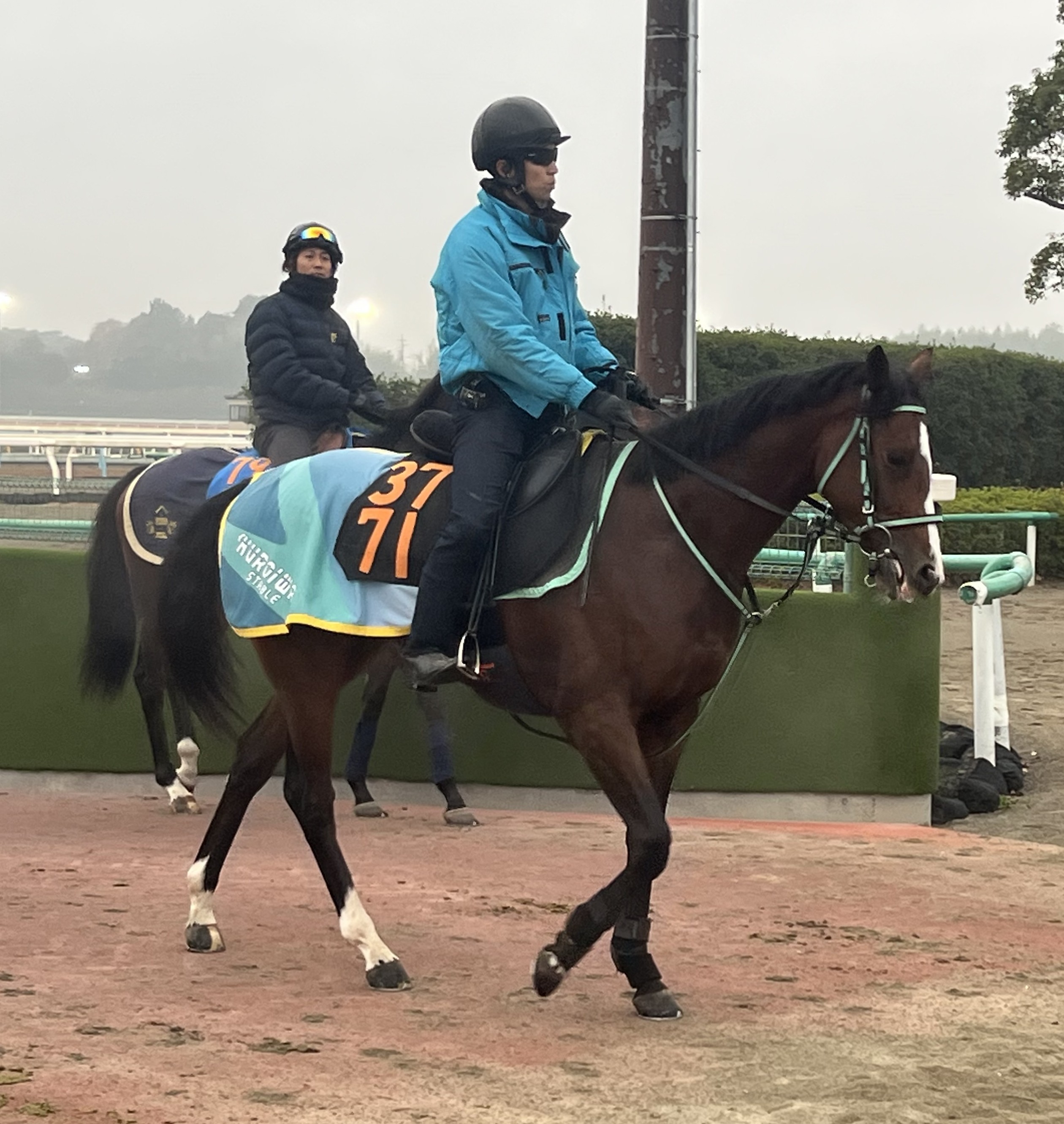 画像サムネイル