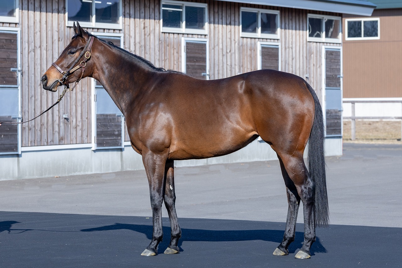 画像サムネイル