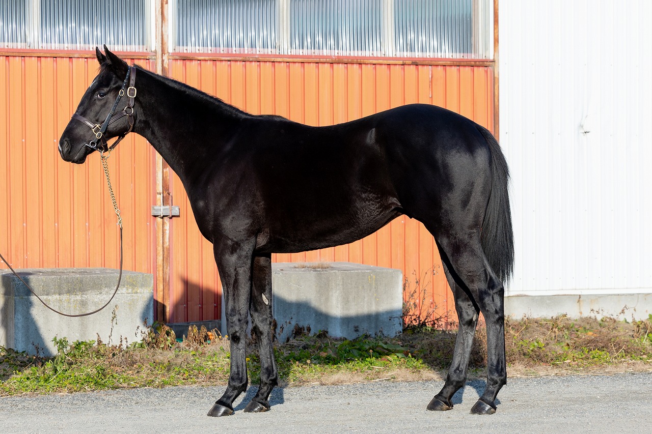 画像サムネイル