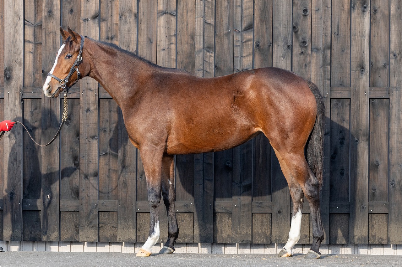 画像サムネイル