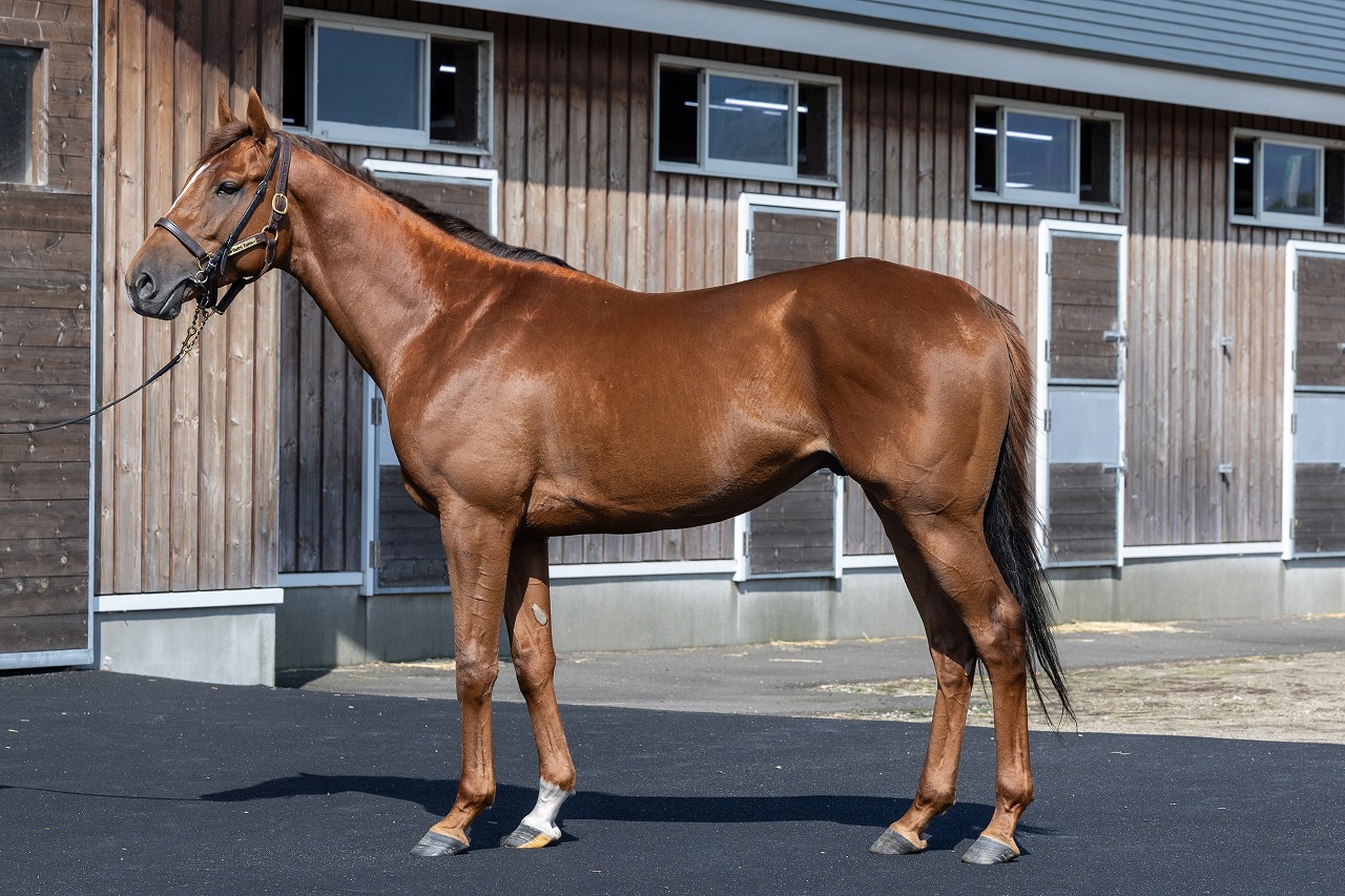 画像サムネイル