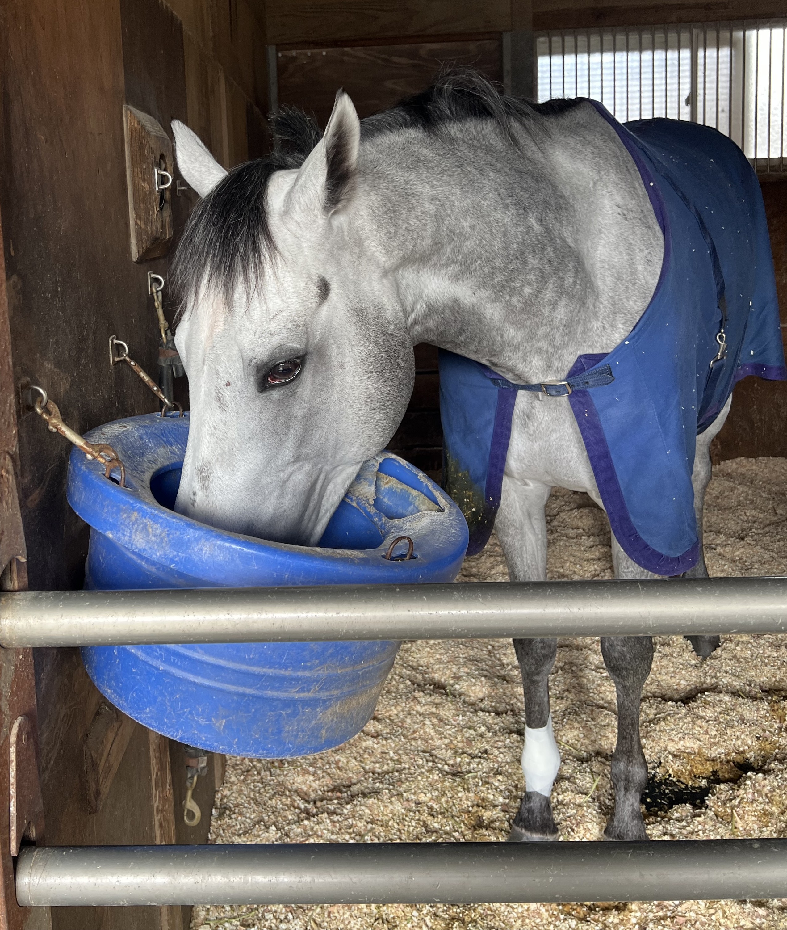 画像サムネイル