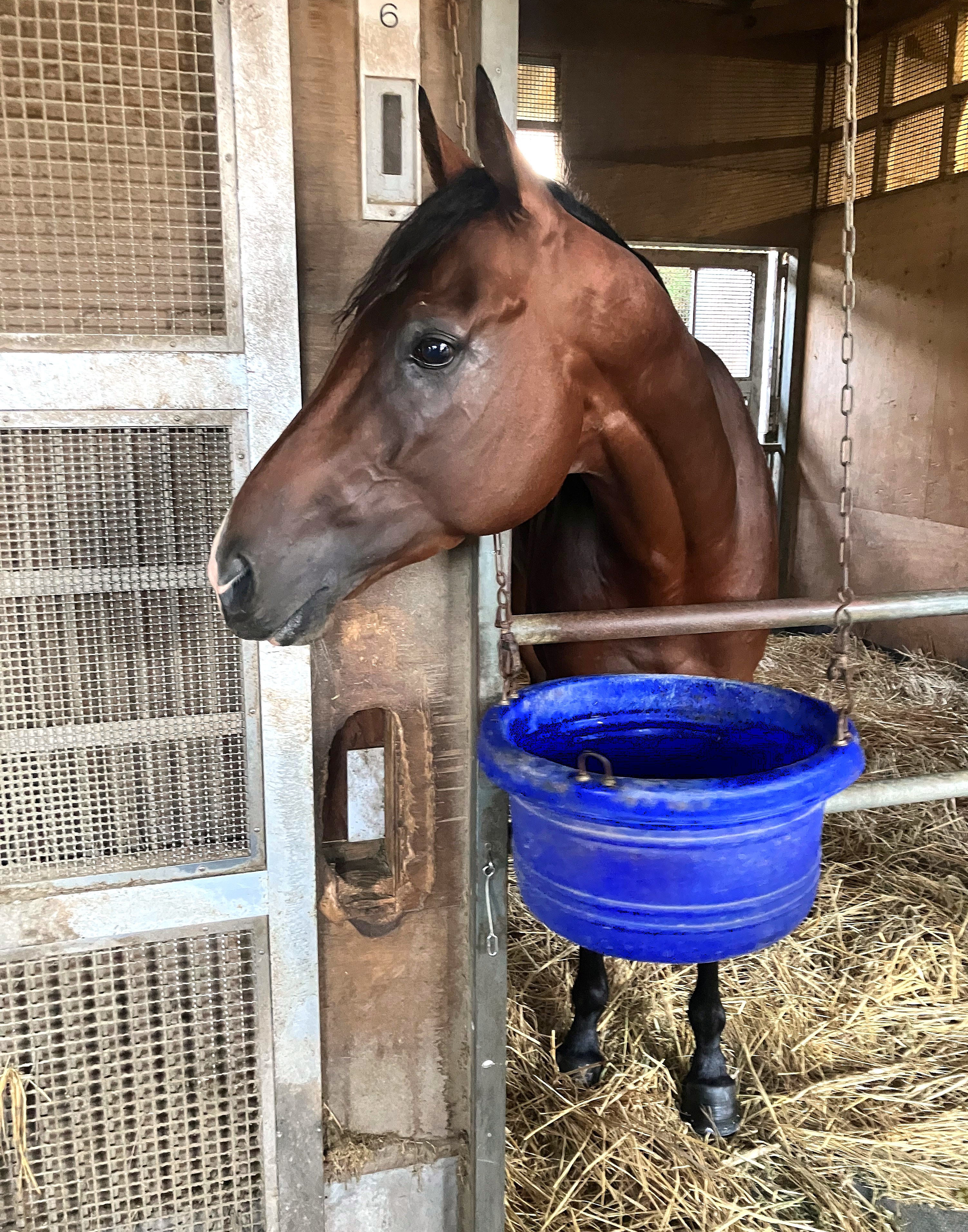 画像サムネイル