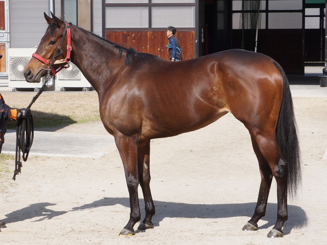 画像サムネイル