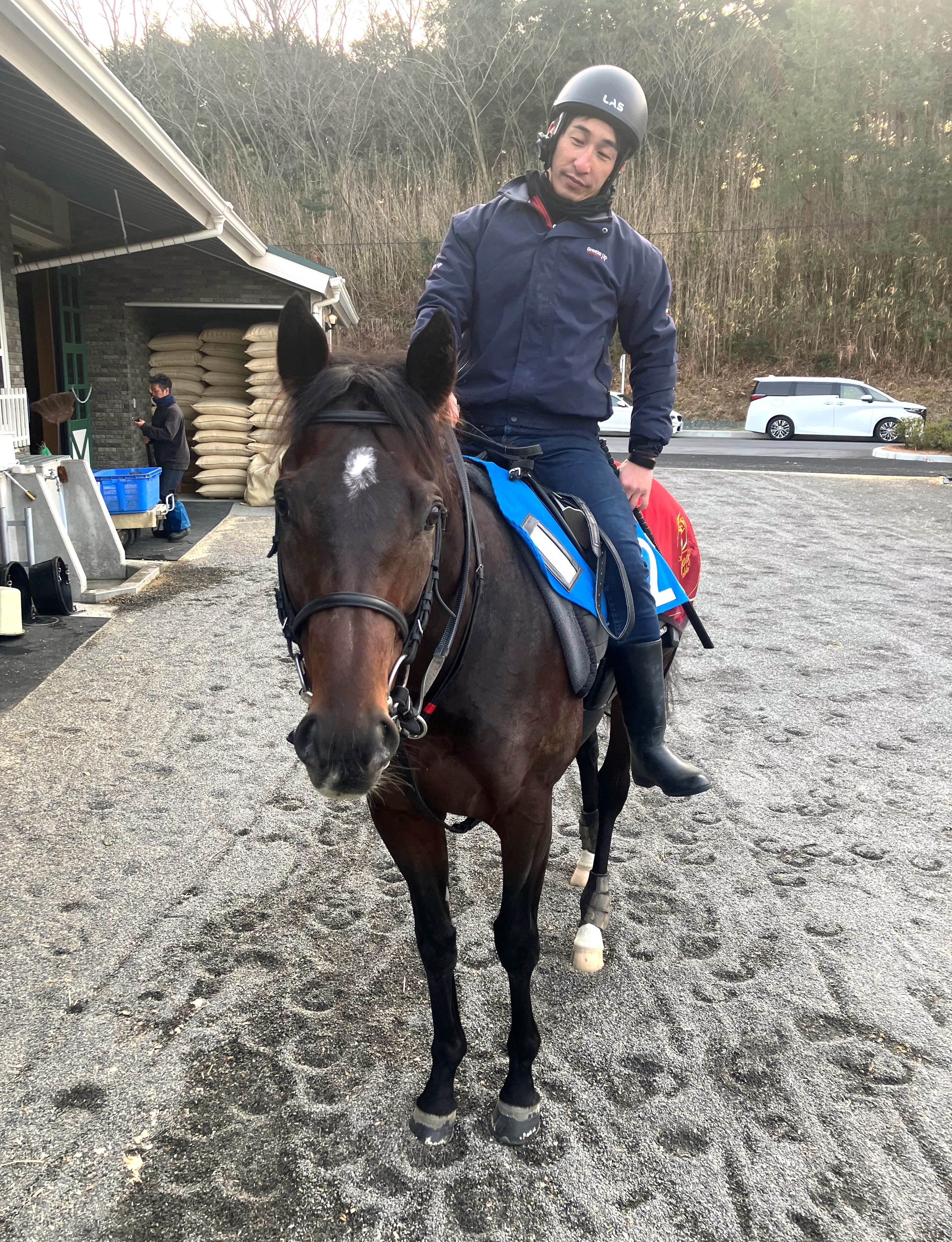 画像サムネイル