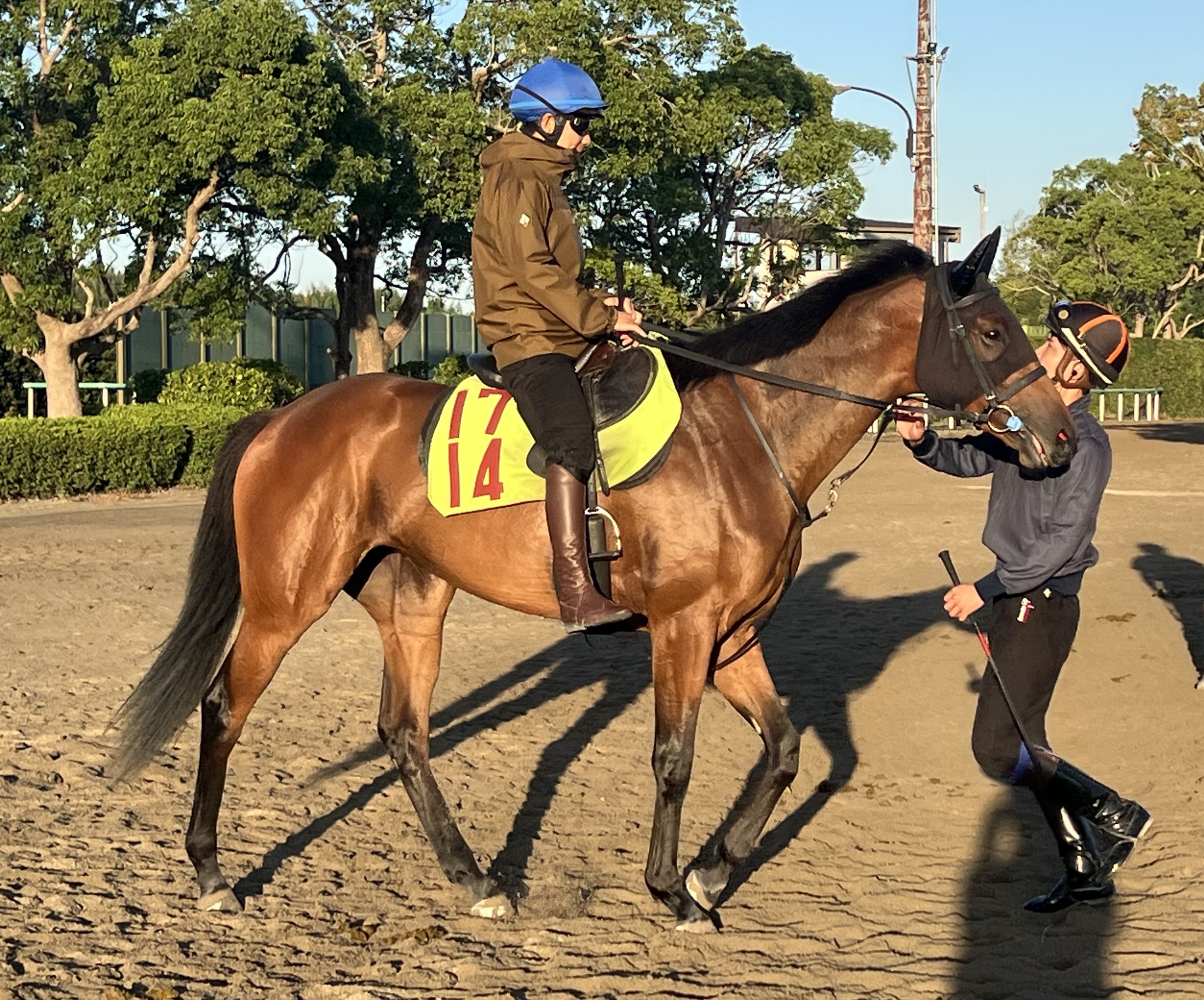 画像サムネイル