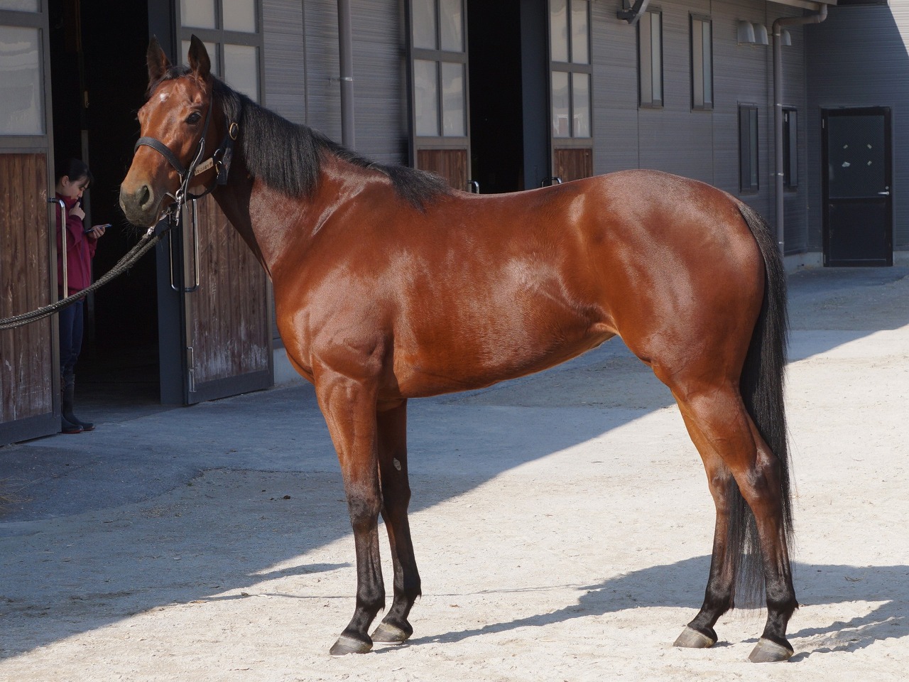 画像サムネイル