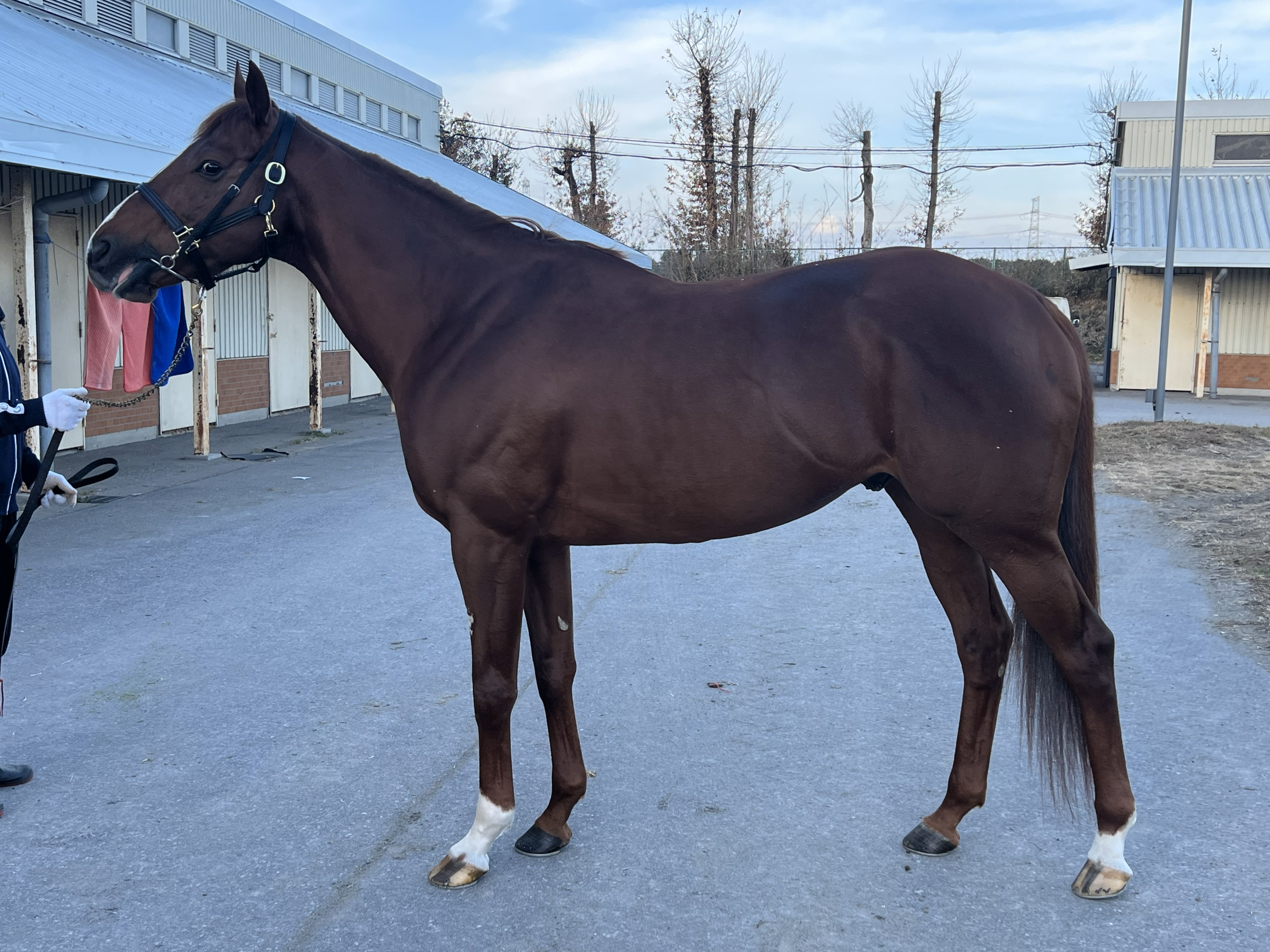 画像サムネイル