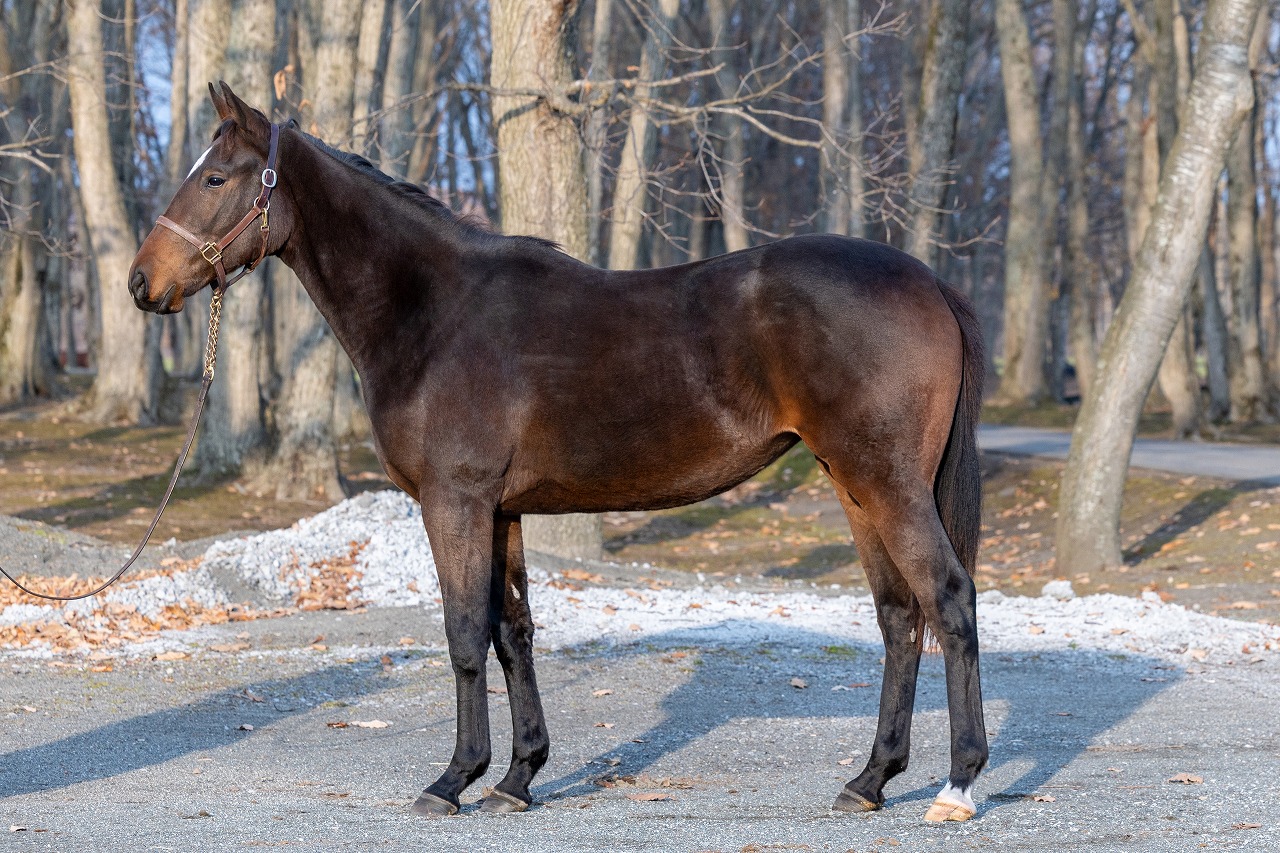 画像サムネイル