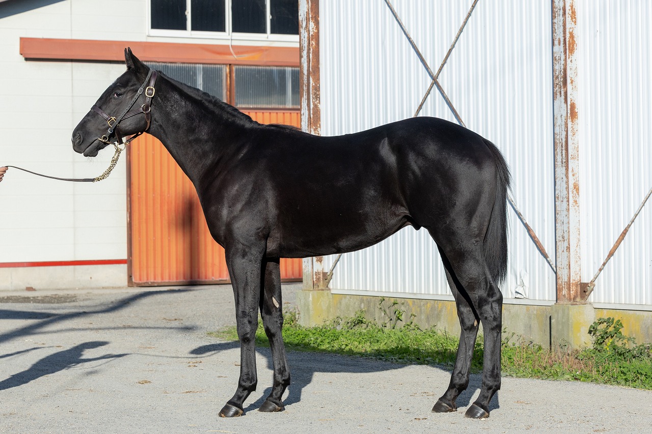 画像サムネイル