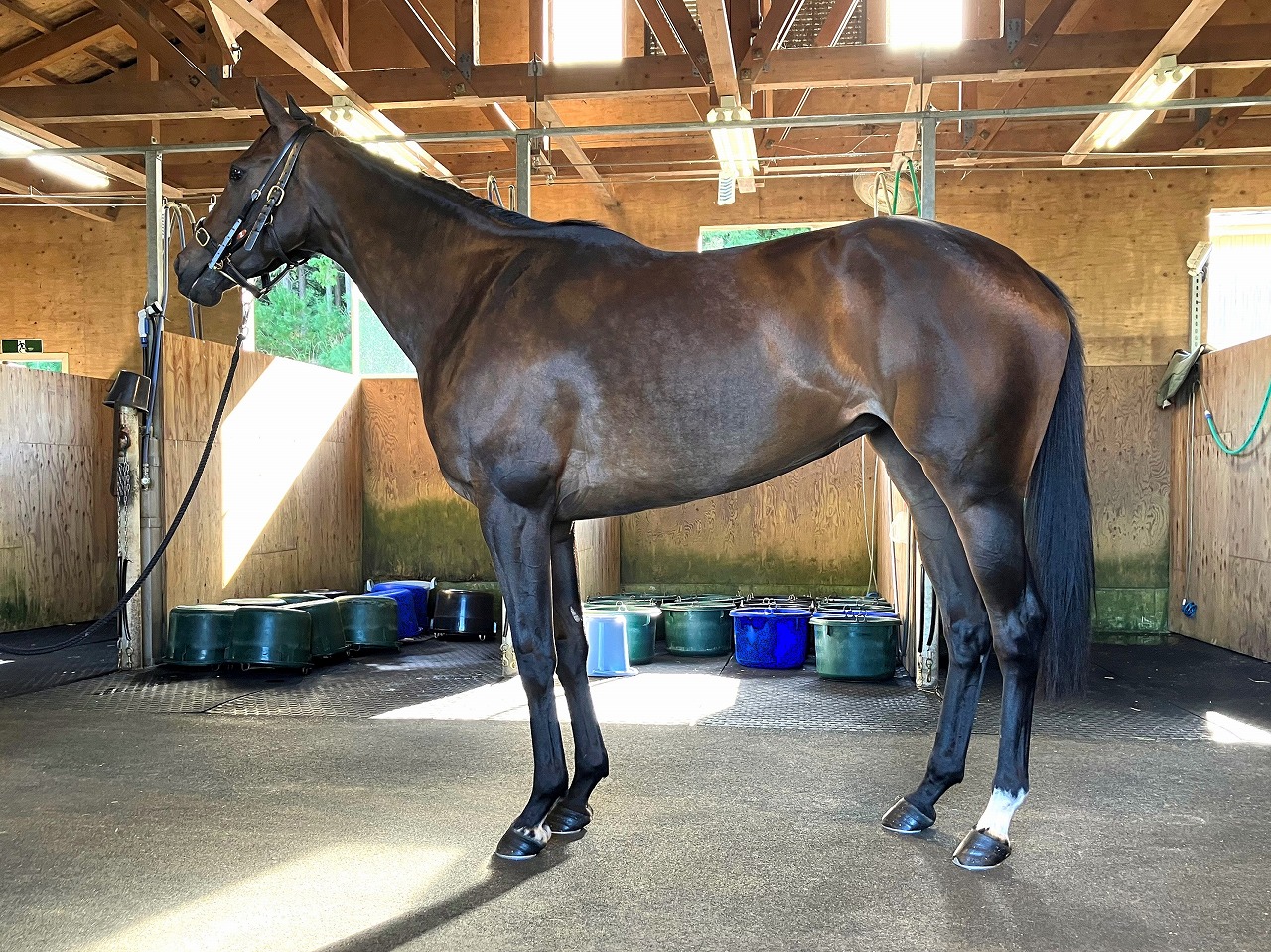 画像サムネイル