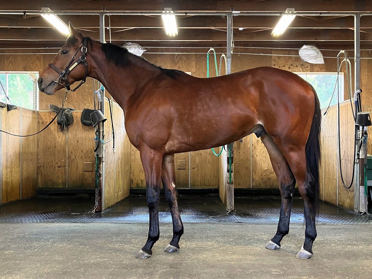 画像サムネイル