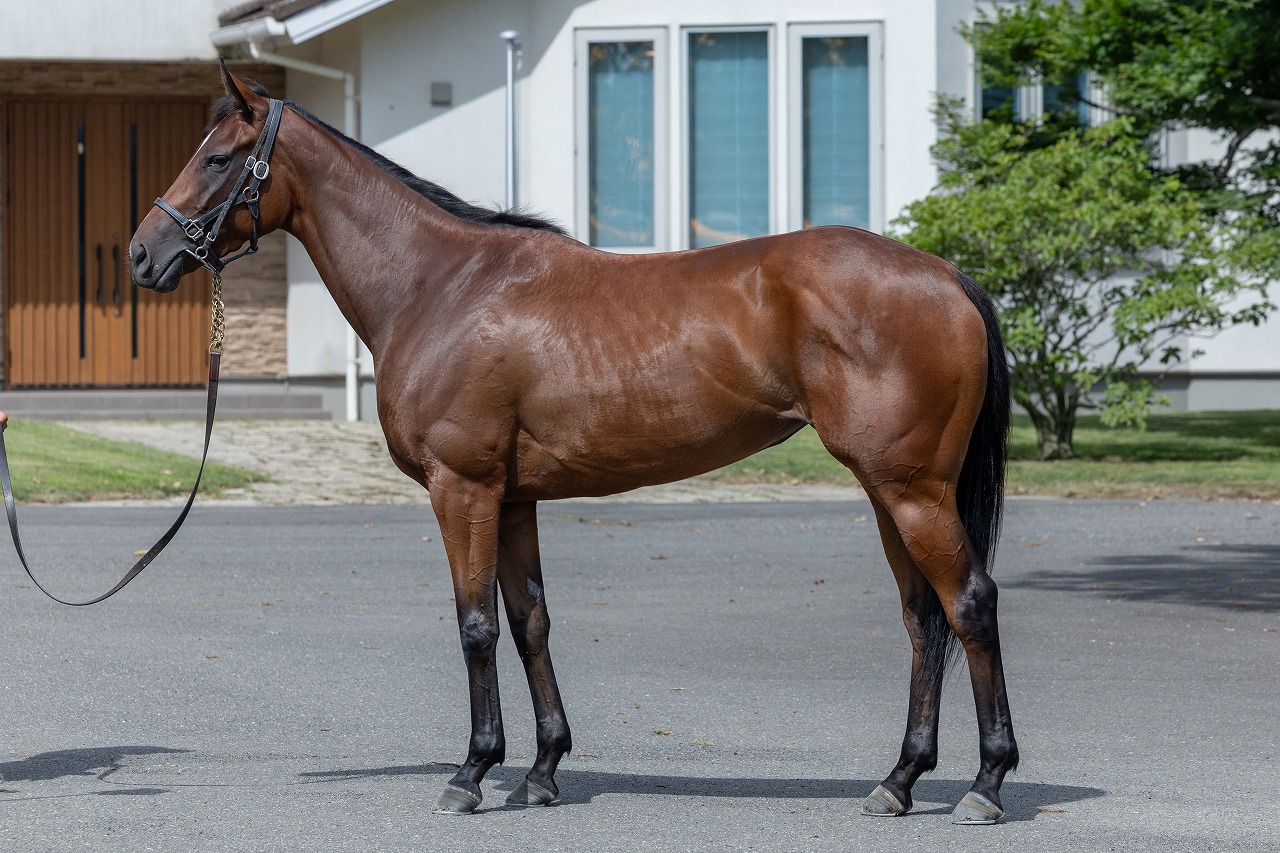 画像サムネイル